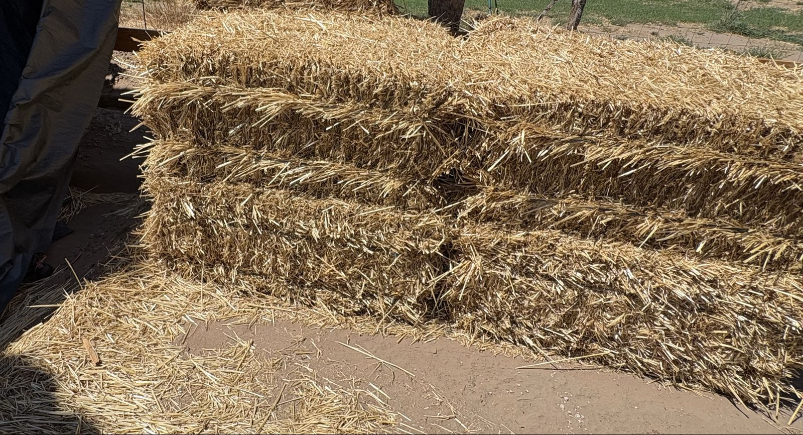 Straw Bales for Livestock Bedding or Mulch - 
