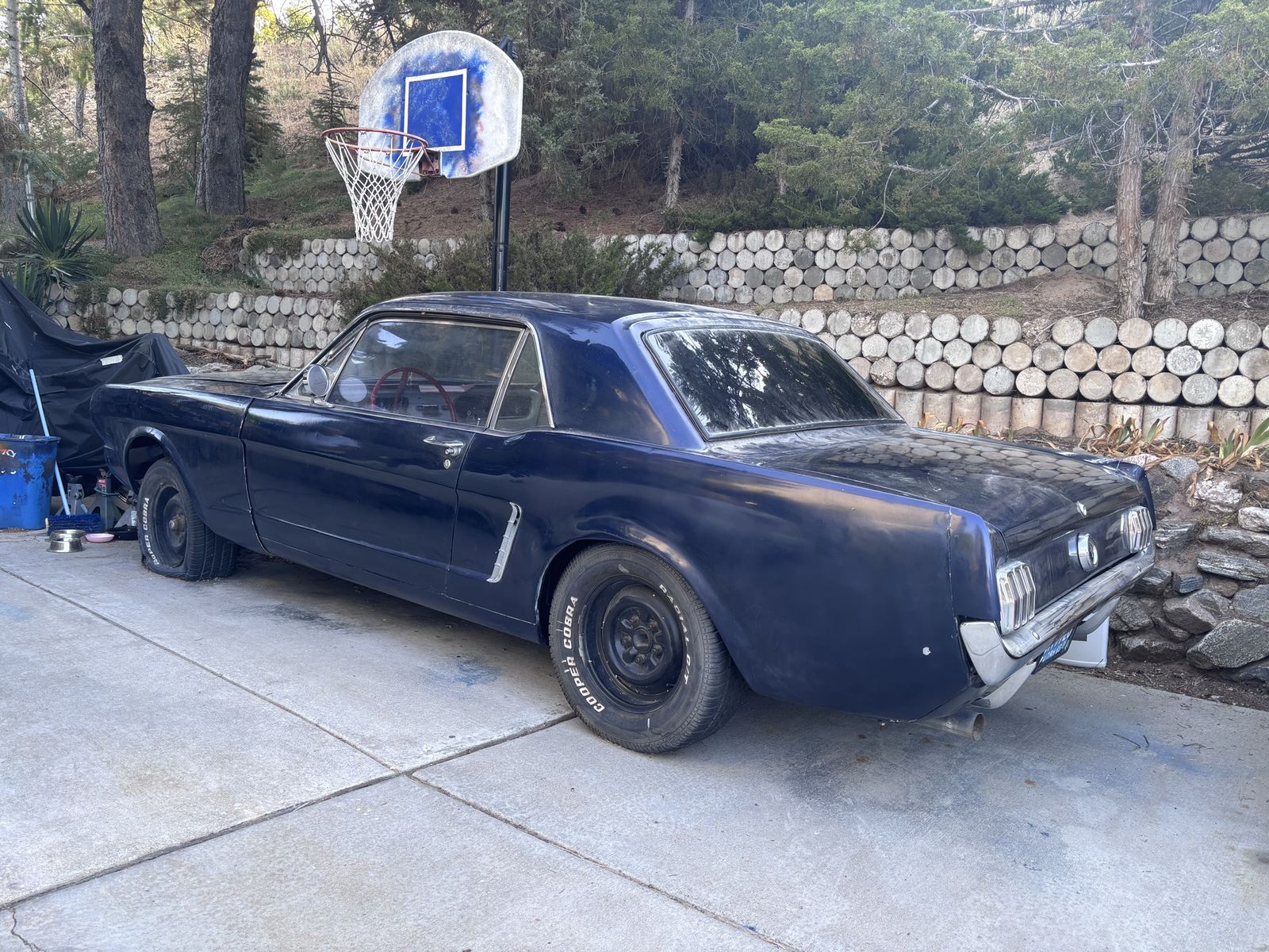 1965 Ford Mustang