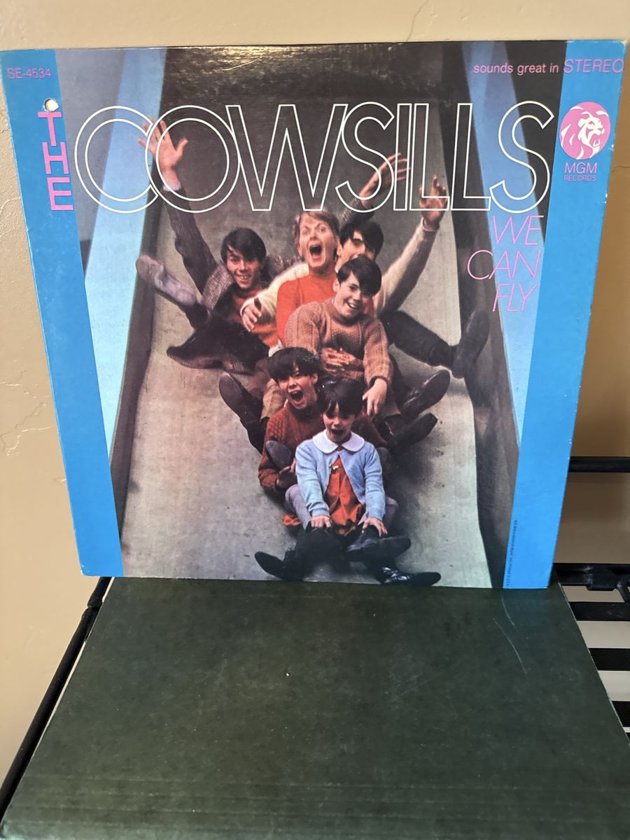 The Cowsills - We Can Fly Vinyl LP Album MGM Records Stereo