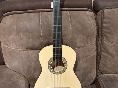 Beginner acoustic guitar