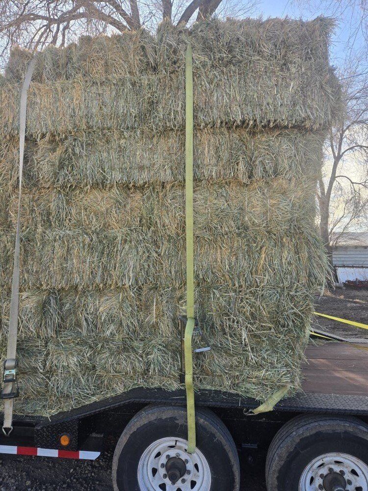 3 string small bales orchard grass Delivery availa