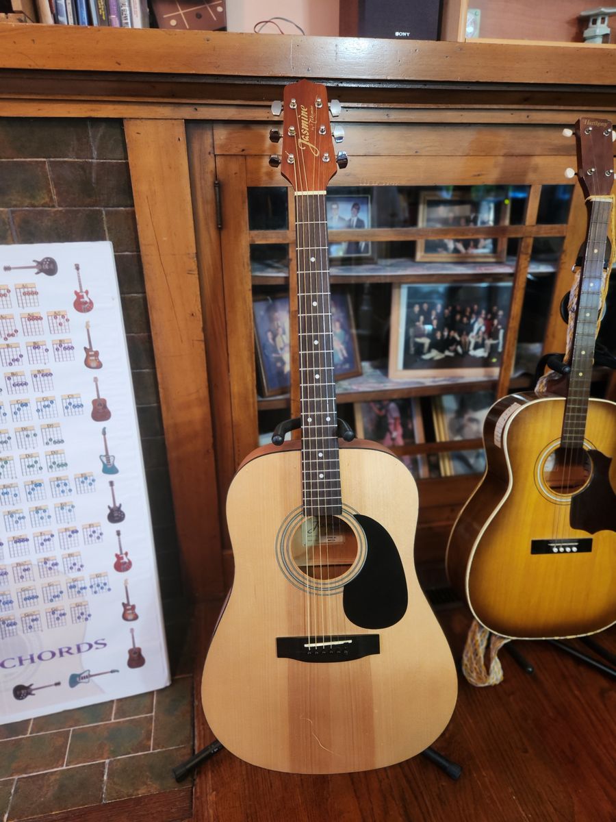 Takamine "Jasmine" full size acoustic guitar Model F-35 and nice Pro-Tec Bag.  Has new strings.