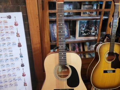 Takamine "Jasmine" full size acoustic guitar Model F-35 and nice Pro-Tec Bag. Has new strings.