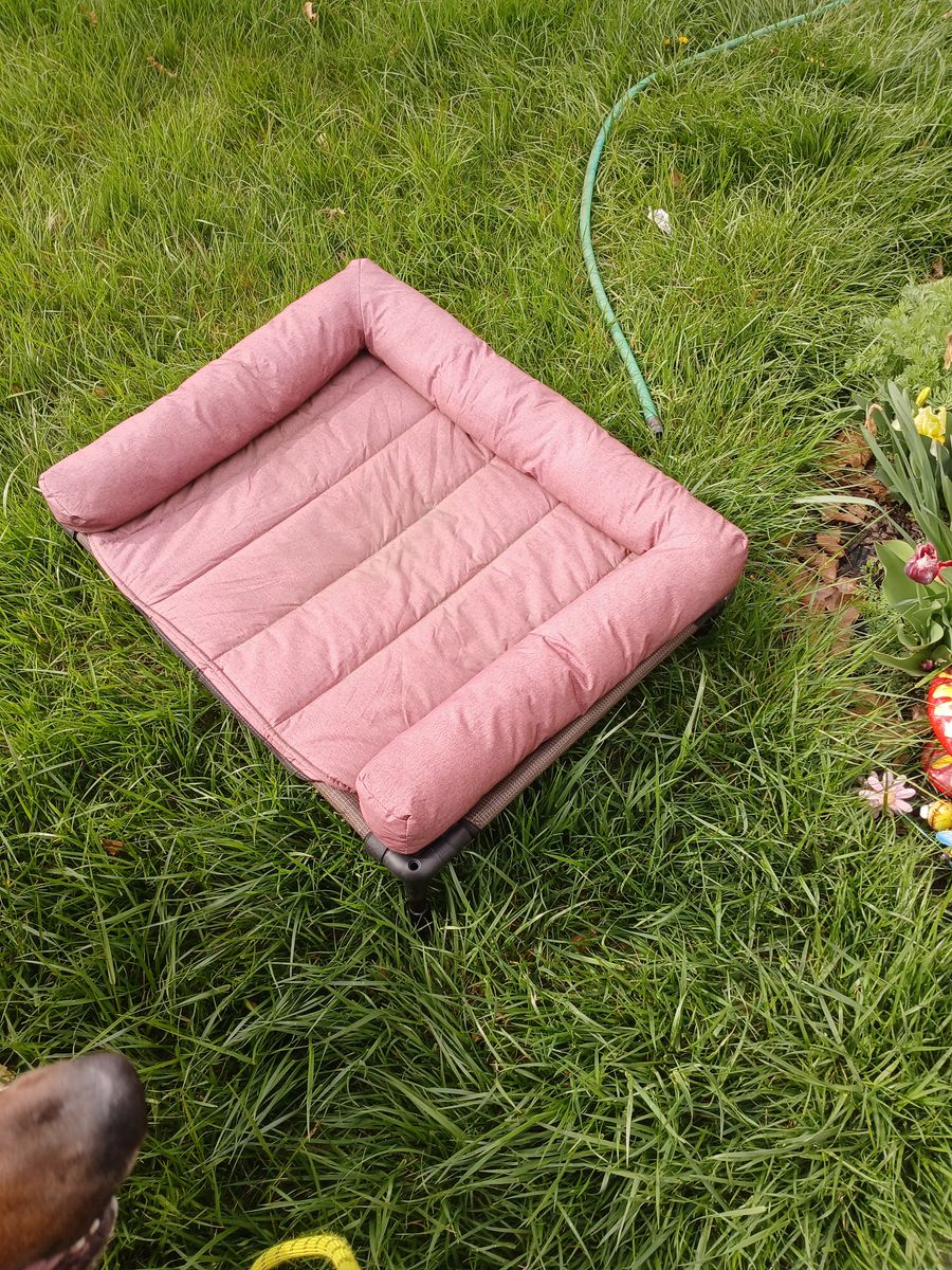 Dog bed raised