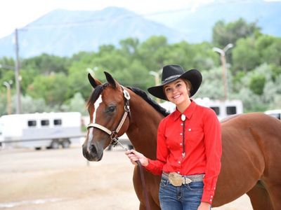 2018 APHA Mare (Sunny)