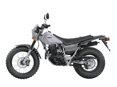 2027 Yamaha TW200 Gallant Gray - 205001