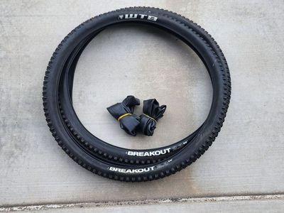 WTB 29er Tires and Tubes