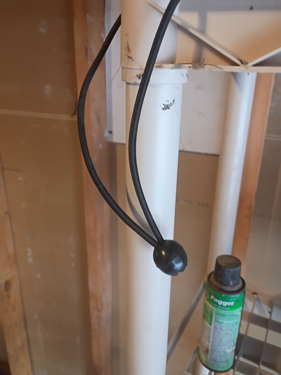 20 pack bungee balls