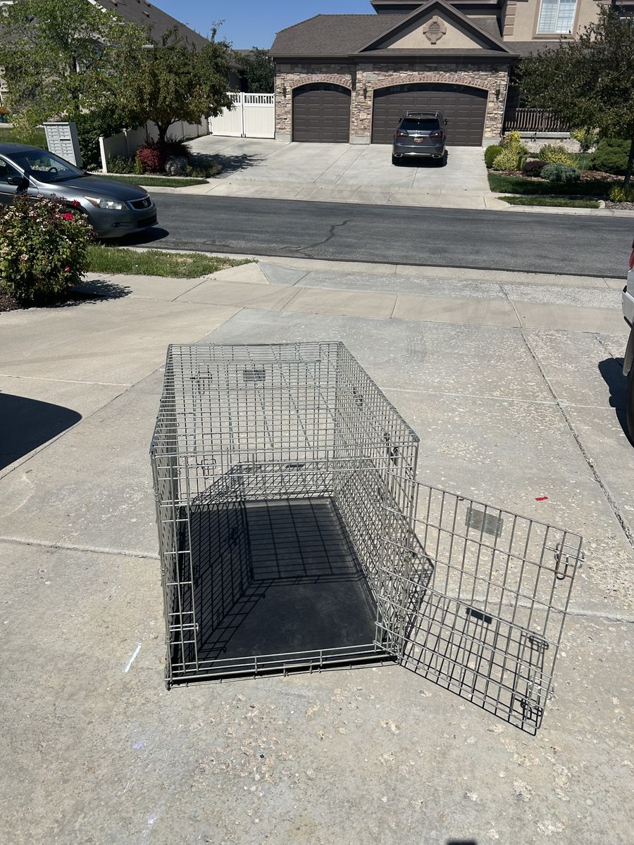 Large dog crate