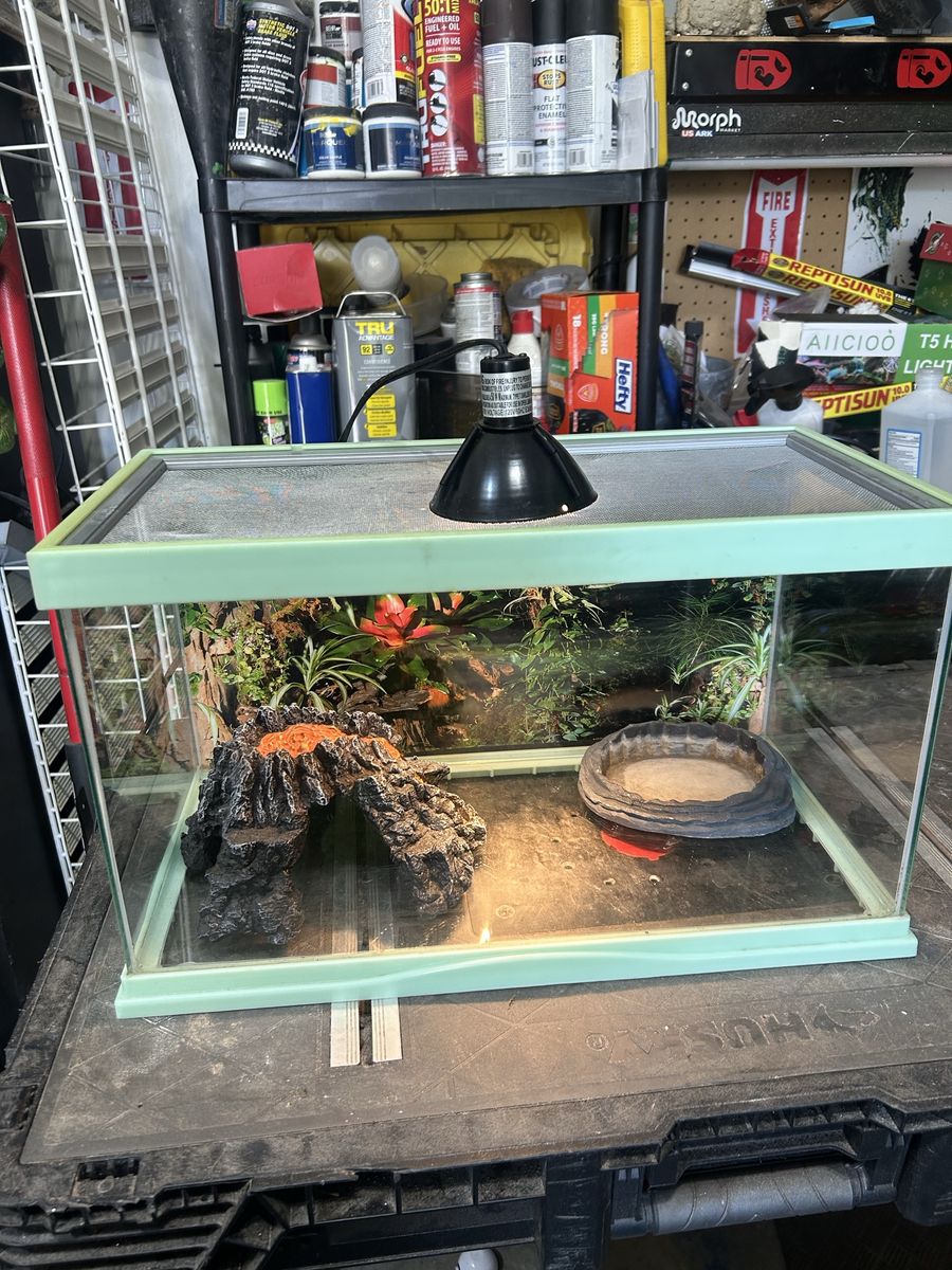 Zoomed tank