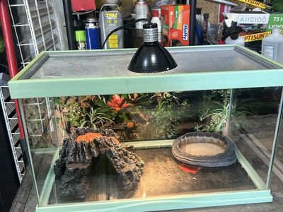 Zoomed tank