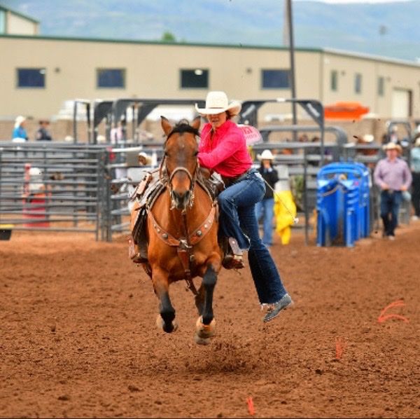 Goat horse