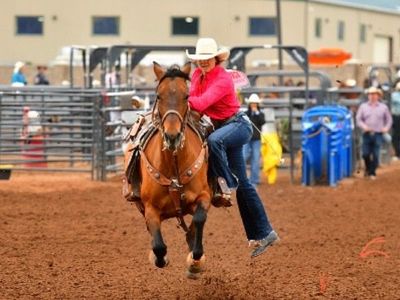 Goat horse