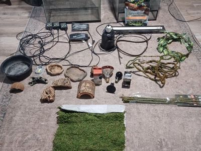 terrariums and supplies