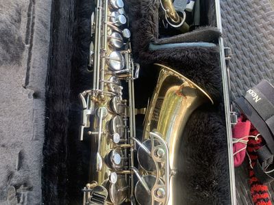 Bundy 2 Alto Saxophone with Hard Case, Neck Strap, and Accessories