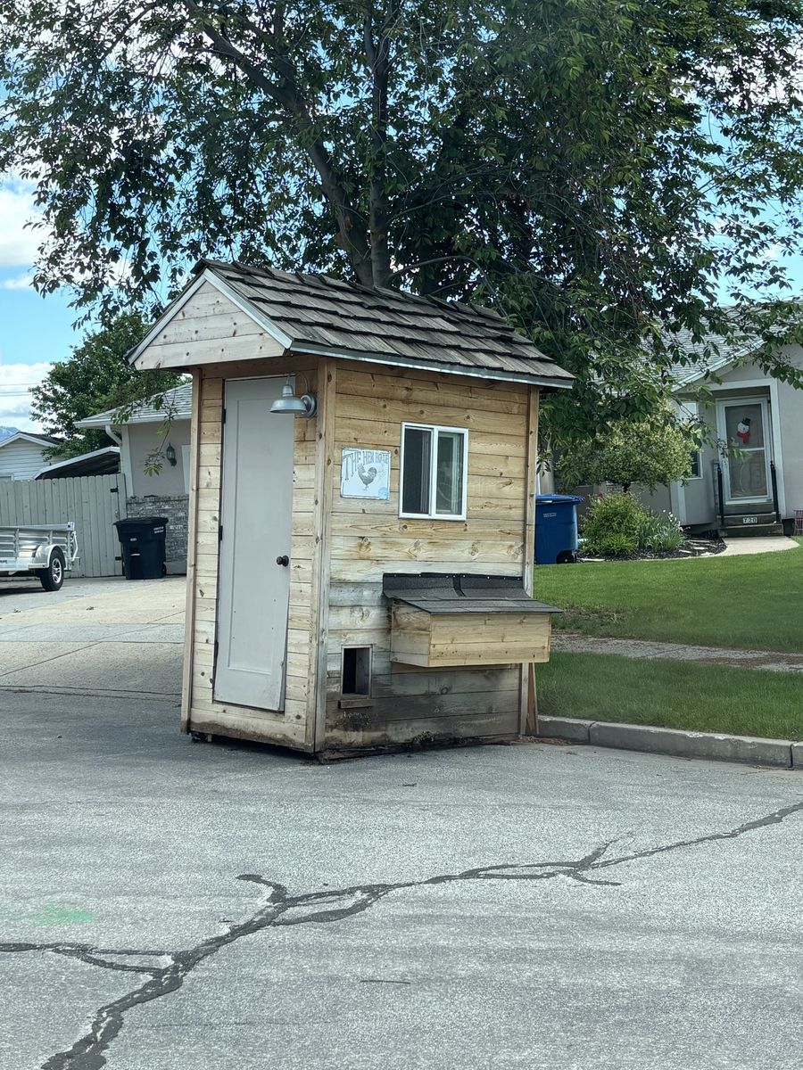 Chicken Coop