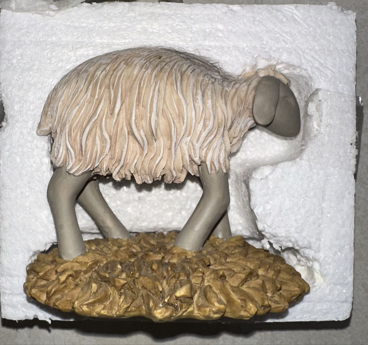 Main image 8