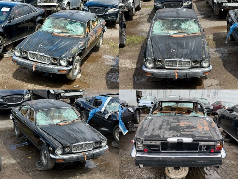New Arrival - 1979 Jaguar XJ-12 Parts