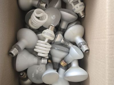 Light Bulbs