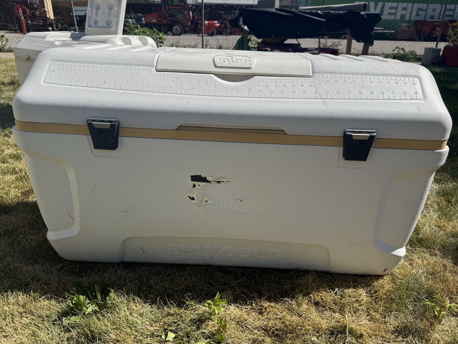 Igloo MaxCold 165 Qt Cooler – Extra Large Marine Ice Chest