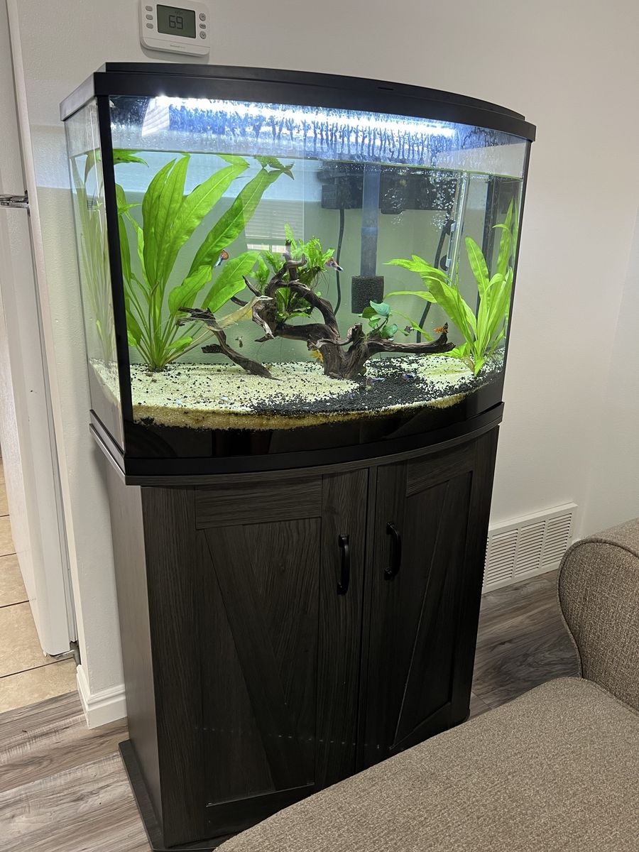 36 gallon tank with stand and fish