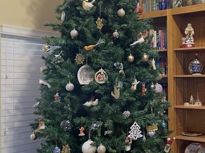 12 foot Christmas Tree For Sale