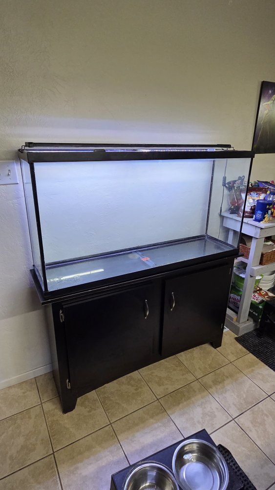 Large fish tank with stand.