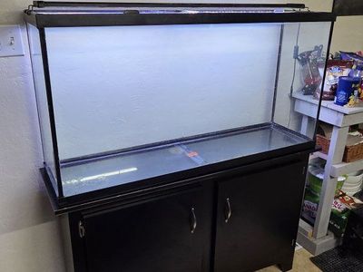 Large fish tank with stand.