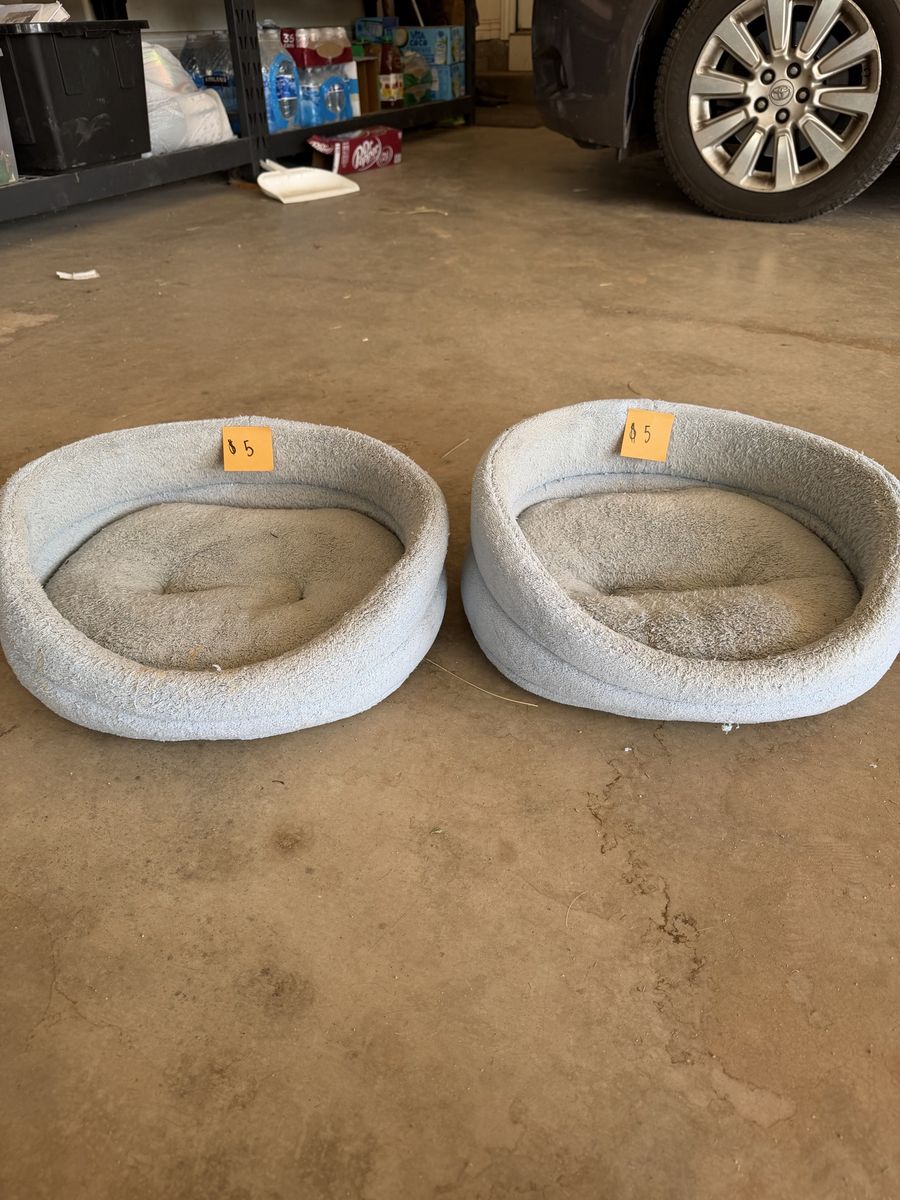 Cheap cat beds