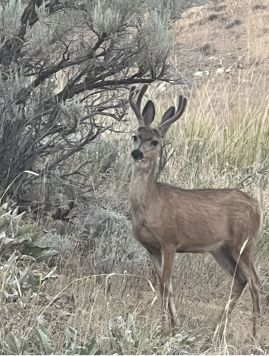 Main image 5