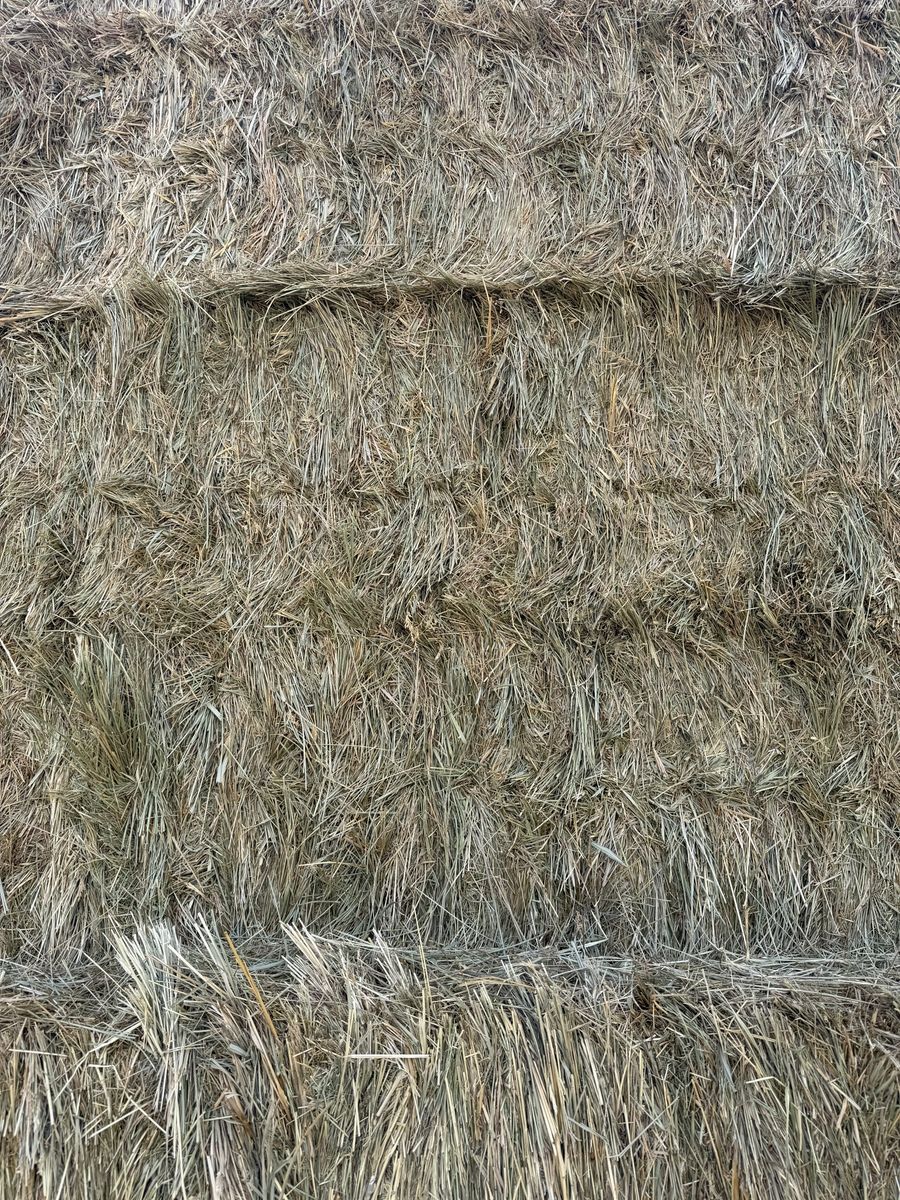 3x3 bales of Foxtail
