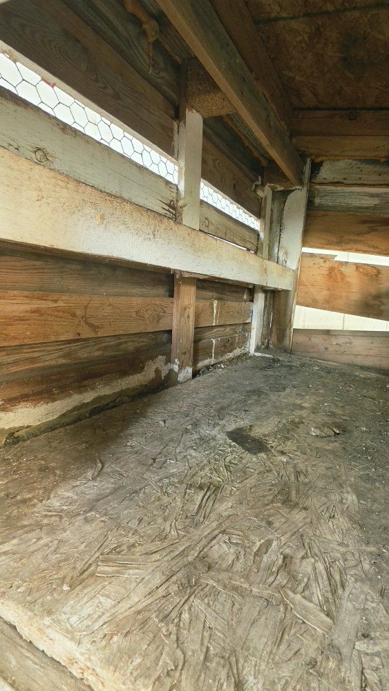 Main image 5
