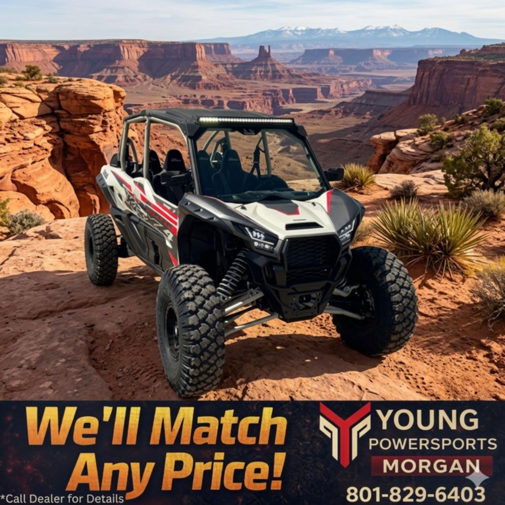 2025 Kawasaki Teryx® KRX4™ 1000 eS
