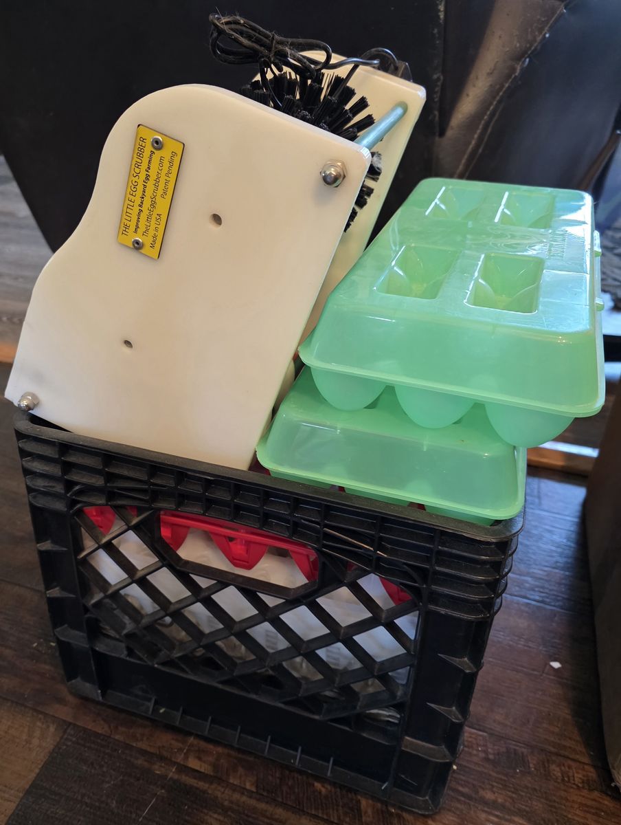 Electric egg washer