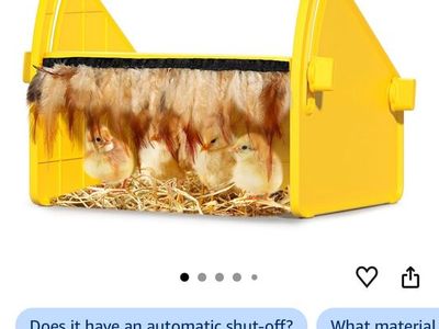 Chick Brooder/Heater ($35 on Amazon)