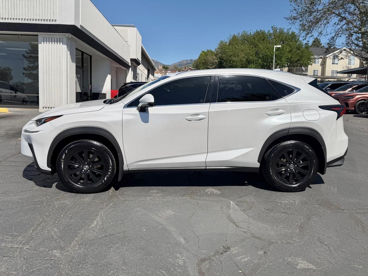 Main image 14