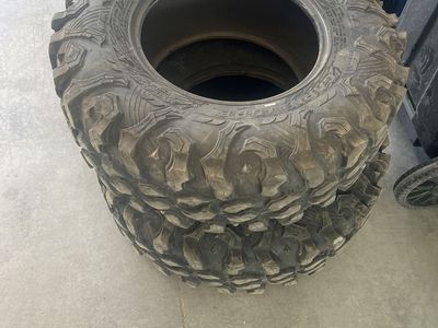 Maxxis Carnivore 31x10 r15