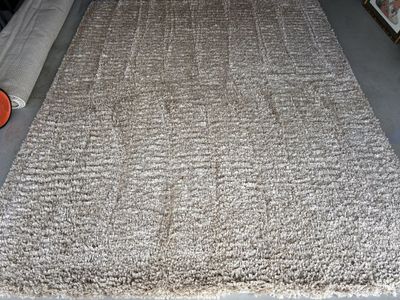 10x8 MICROPLUSH SHAG RUG FROM POTTERY BARN!!