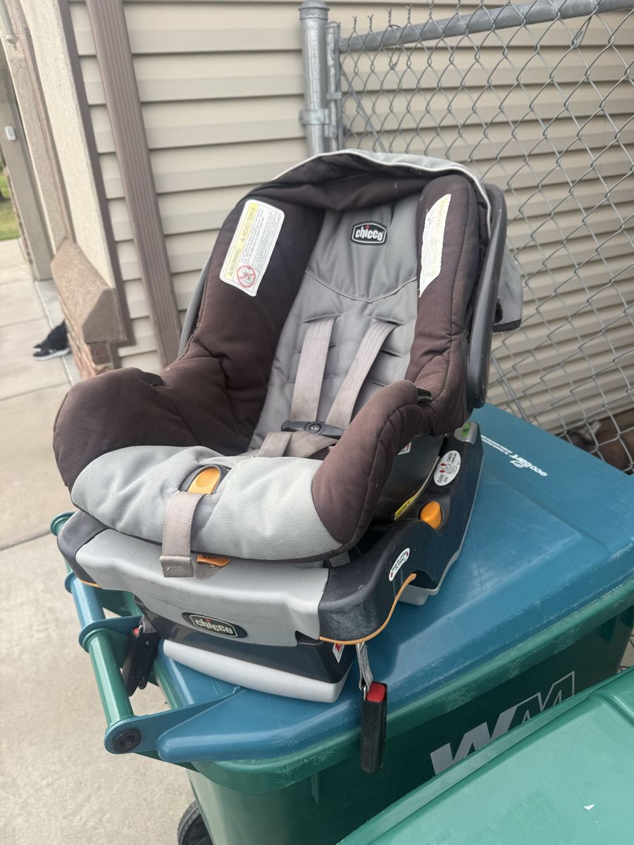 Chicco Infant Car Seat with Base - Brown and Gray