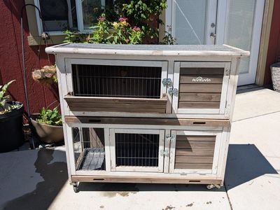 Bunny / Guinea Pig Hutch