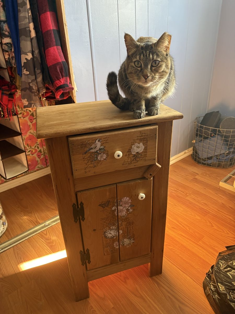Side Table! Cat Not Included!