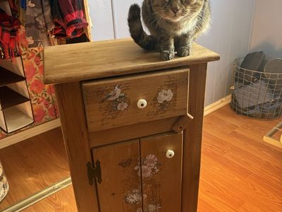 Side Table! Cat Not Included!