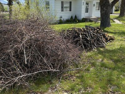 Firewood, free