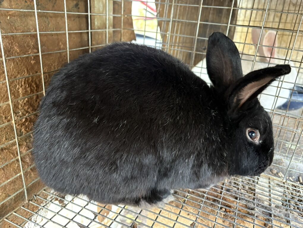 Winter Sale Closeout