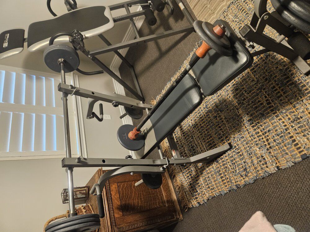 Weights , benches, dumbells and barbells