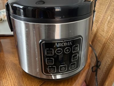 Small Rice Cooker and Food Steamer