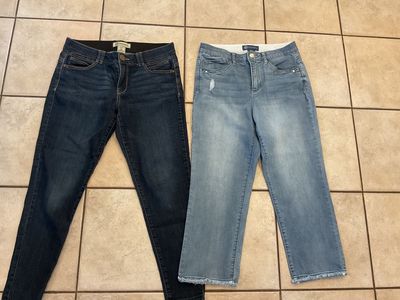 DemocracyAb solution 10 petite jeans and cropped