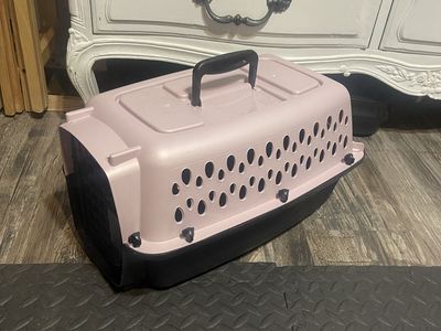 Pink and Black Hard Plastic Pet Carrier Kennel