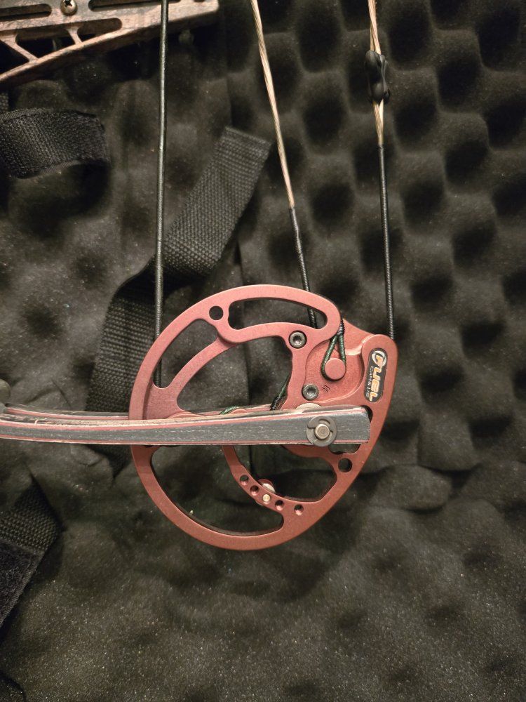 Main image 6