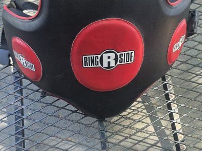 Ringside boxing body protector